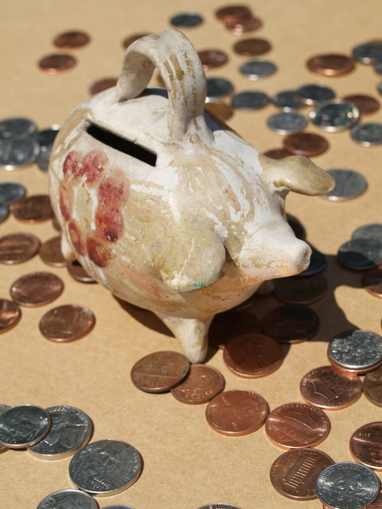Coin bank divided by the 50/30/20 budget rule allocation