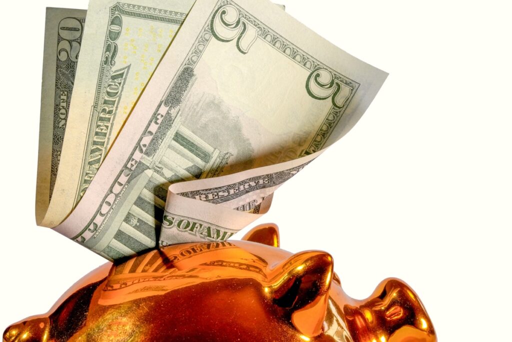 Saving from paycheck into a piggy bank on the path to prosperity