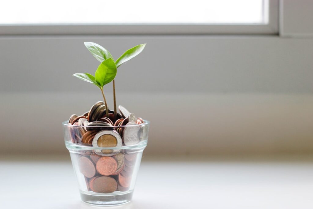 Money plant growing in glass jar representing escape from paycheck-to-paycheck cycle